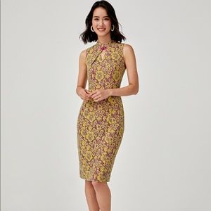 Bevelyn Lace Mandarin Collar Midi Dress